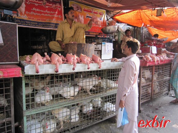 Hühnerhändler in Karatschi. Im Käfig die lebenden, darüber die, die es hinter sich haben. ©FlyWolf