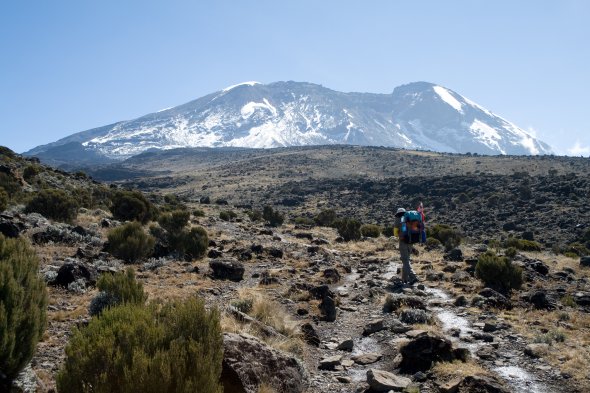 Wanderer am Kilimanjaro. Urheber: Stig Nygaard, Lizenz: creative commons (Namensnennung)