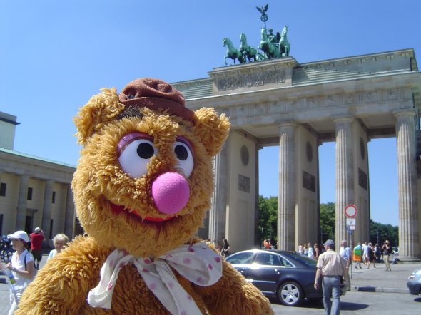 Selfie von Kuscheltier Teddy auf seiner Reise durch Berlin