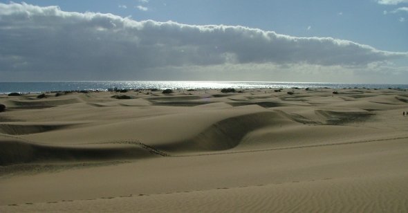 In den Dünen von Maspalomas, Gran Canaria
