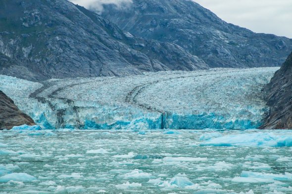 Teil dieser Tour von Tokio (Yokohama) nach Seattle ist auch der Besuch des Endicott Arm Dawes Gletscher in Alaska.