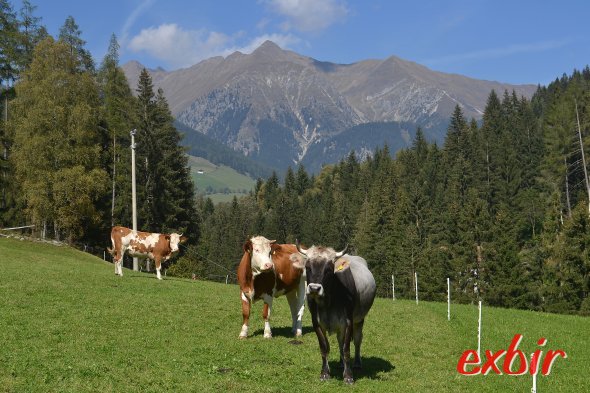 Dolomitenidylle in Südtirol bei Bolzano/Bozen. Foto: Christian Maskos