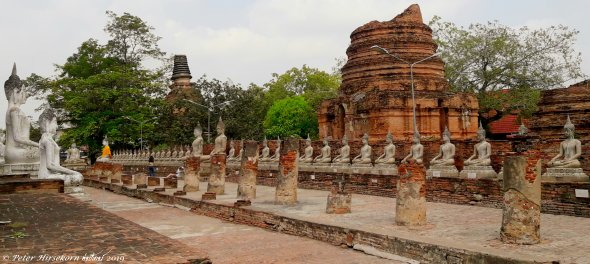 Ayutthaya I: Wat Yai Chai Mongkon und Chao Sam Phraya National Museum