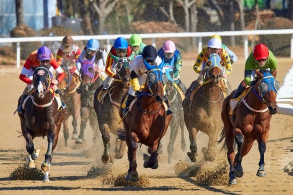 Horse racing in Korea