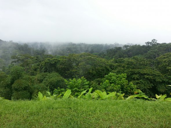 Französisch Guyana, Dschungelgebiet
